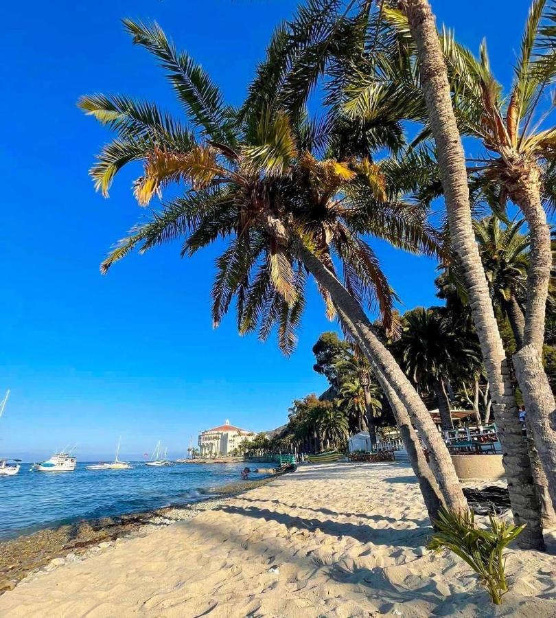 Gorgeous Oceanfront Villa With Panoramic Views Avalon Ngoại thất bức ảnh